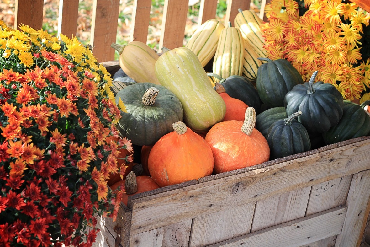 Autumn display