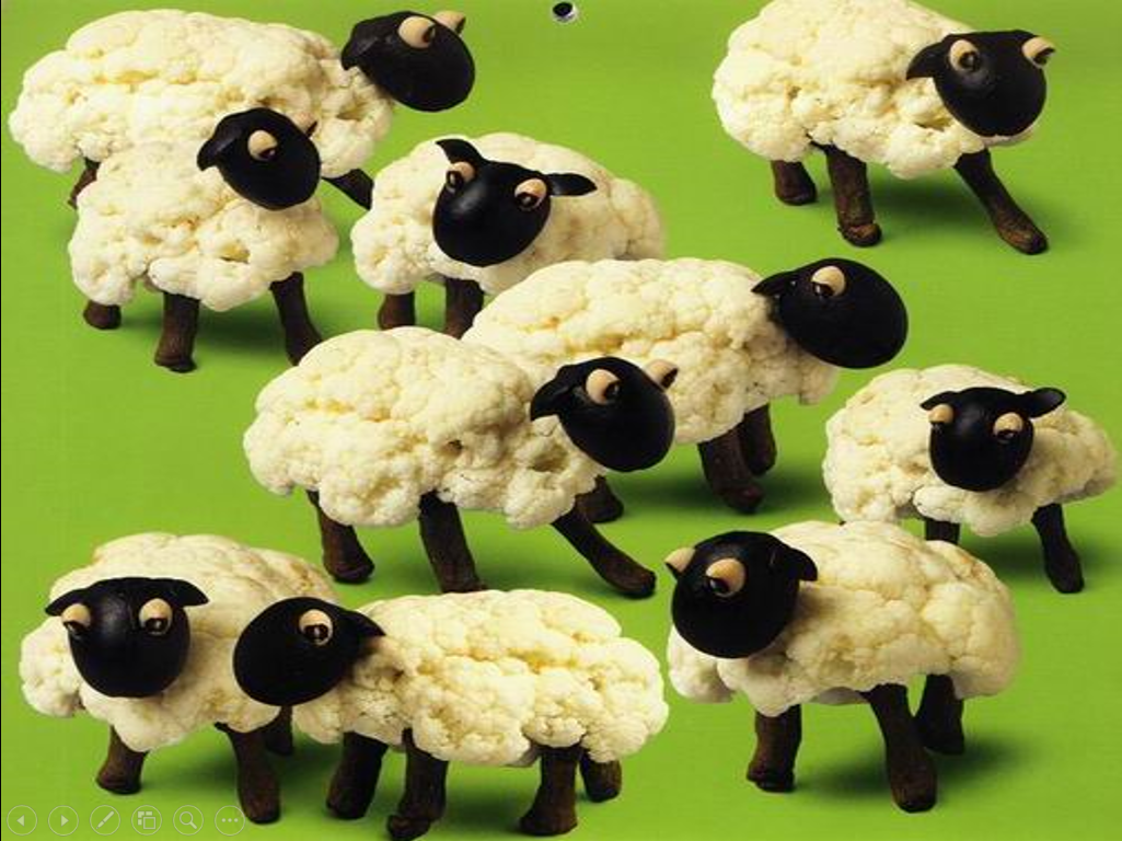 Cauliflower sheep