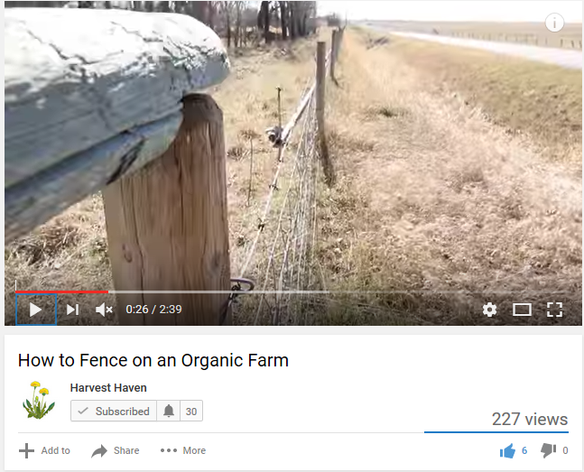 Fencing Video