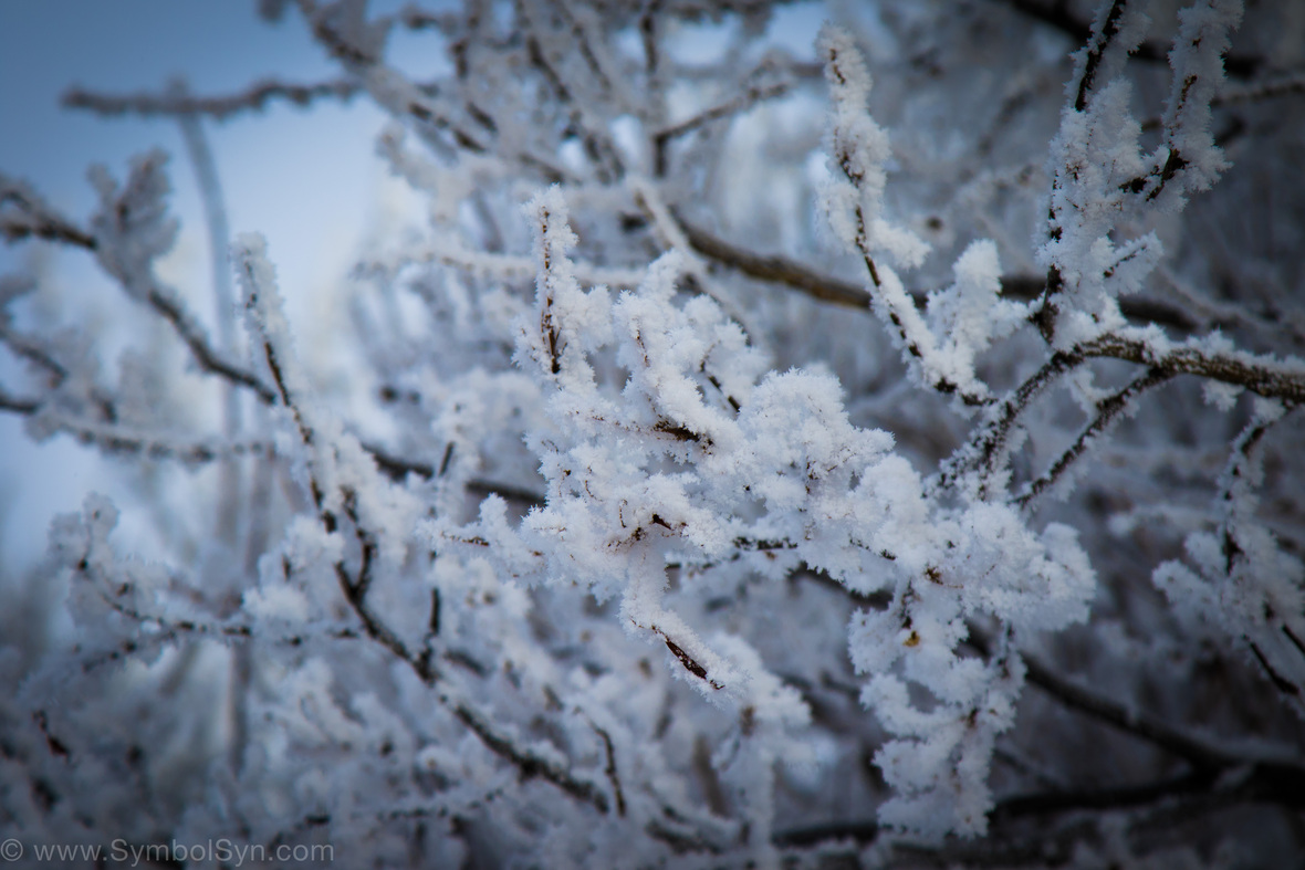 Frosty Lethbridge-2