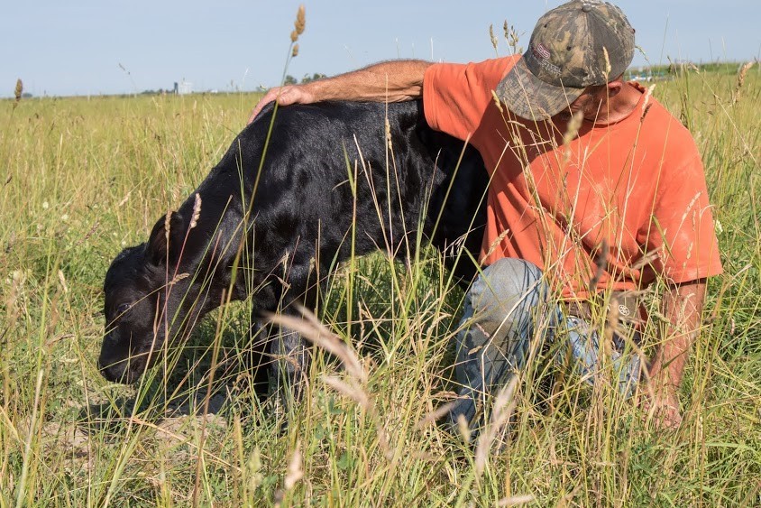 James with calf