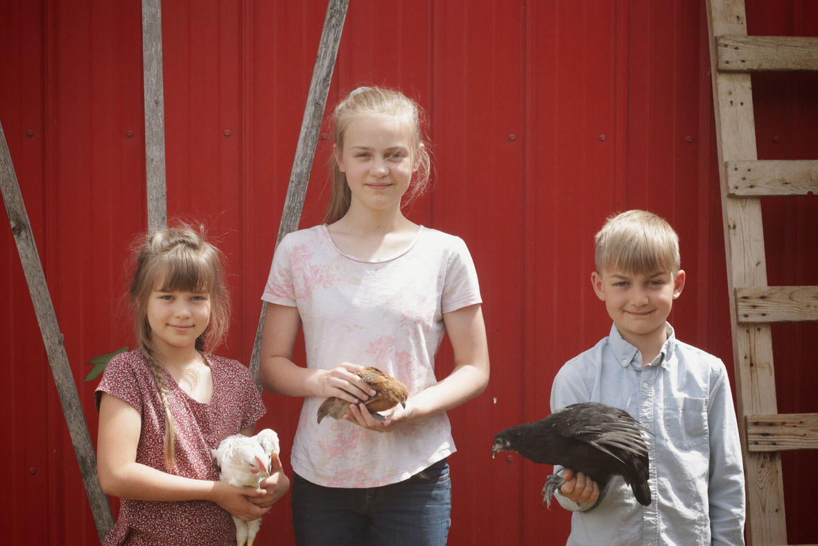 Kids and chickens