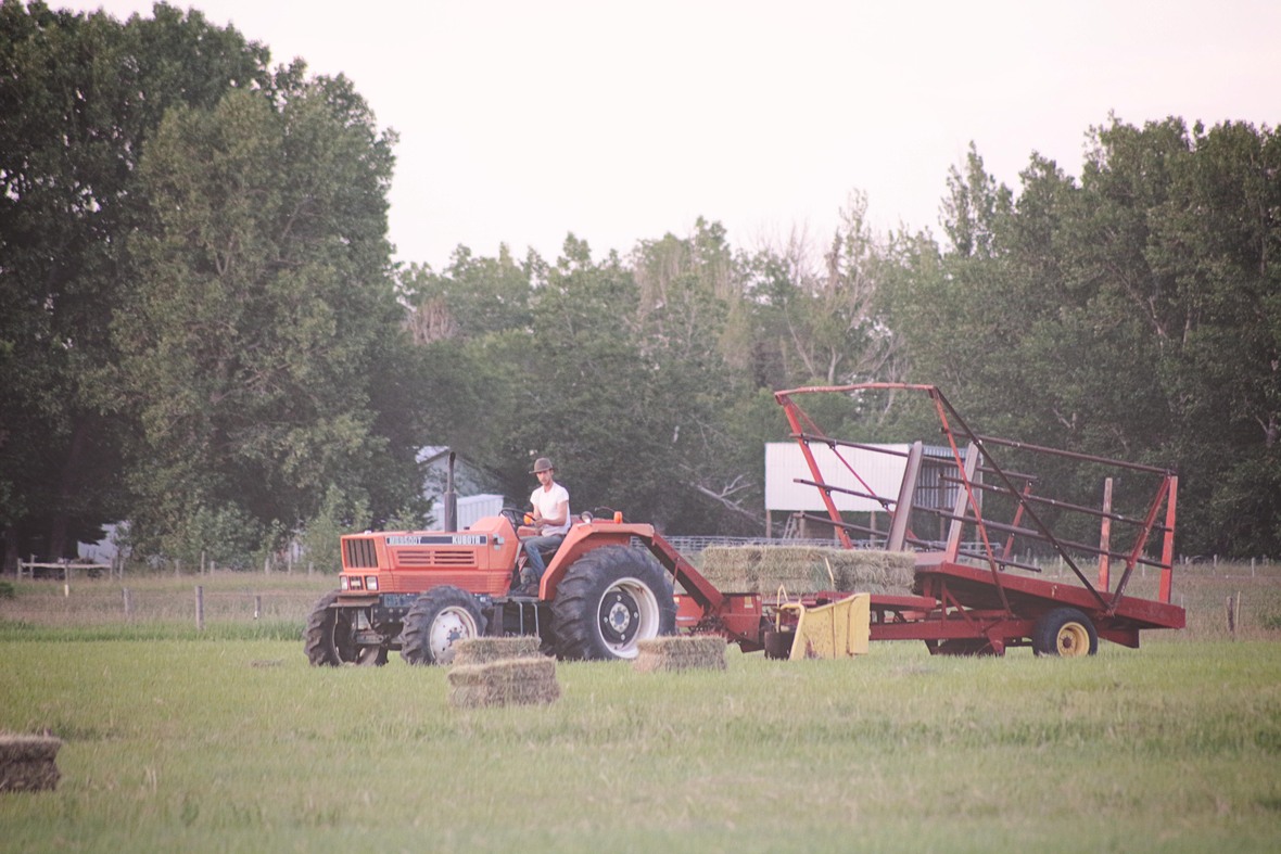 Martin picking up bales