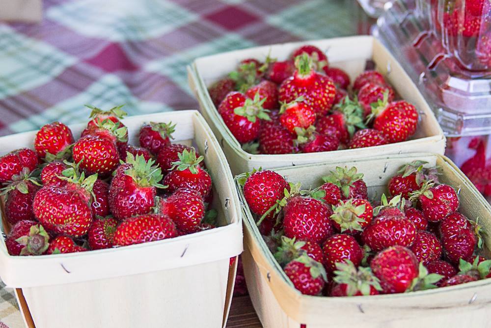 Strawberry pints