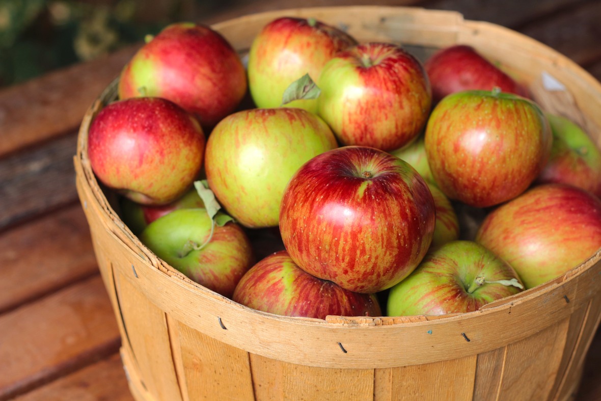 apples in a basket