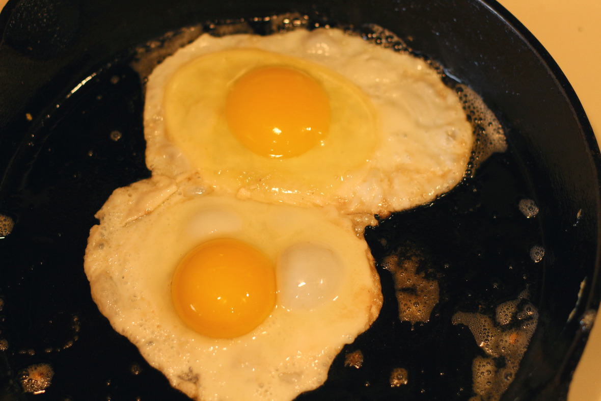 fried eggs