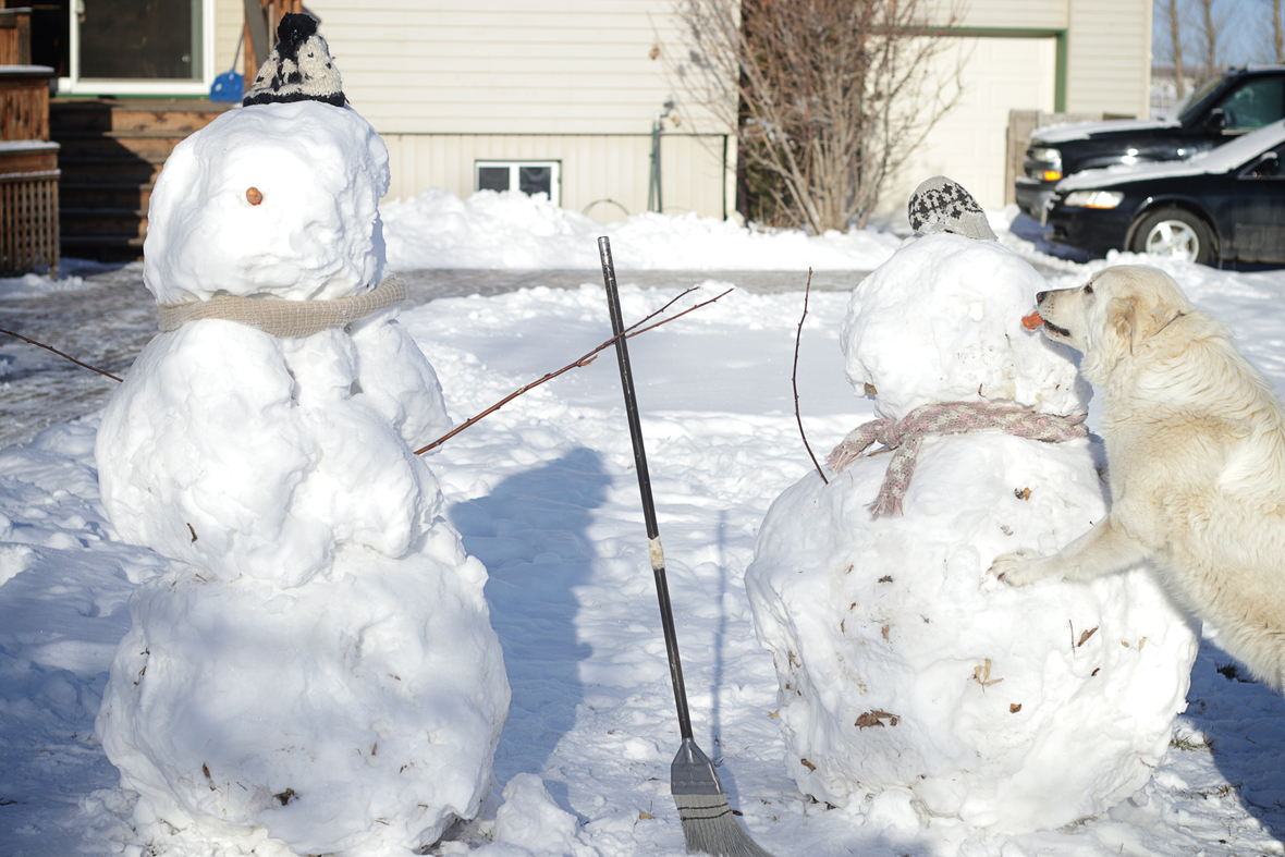 harriett and the snow people