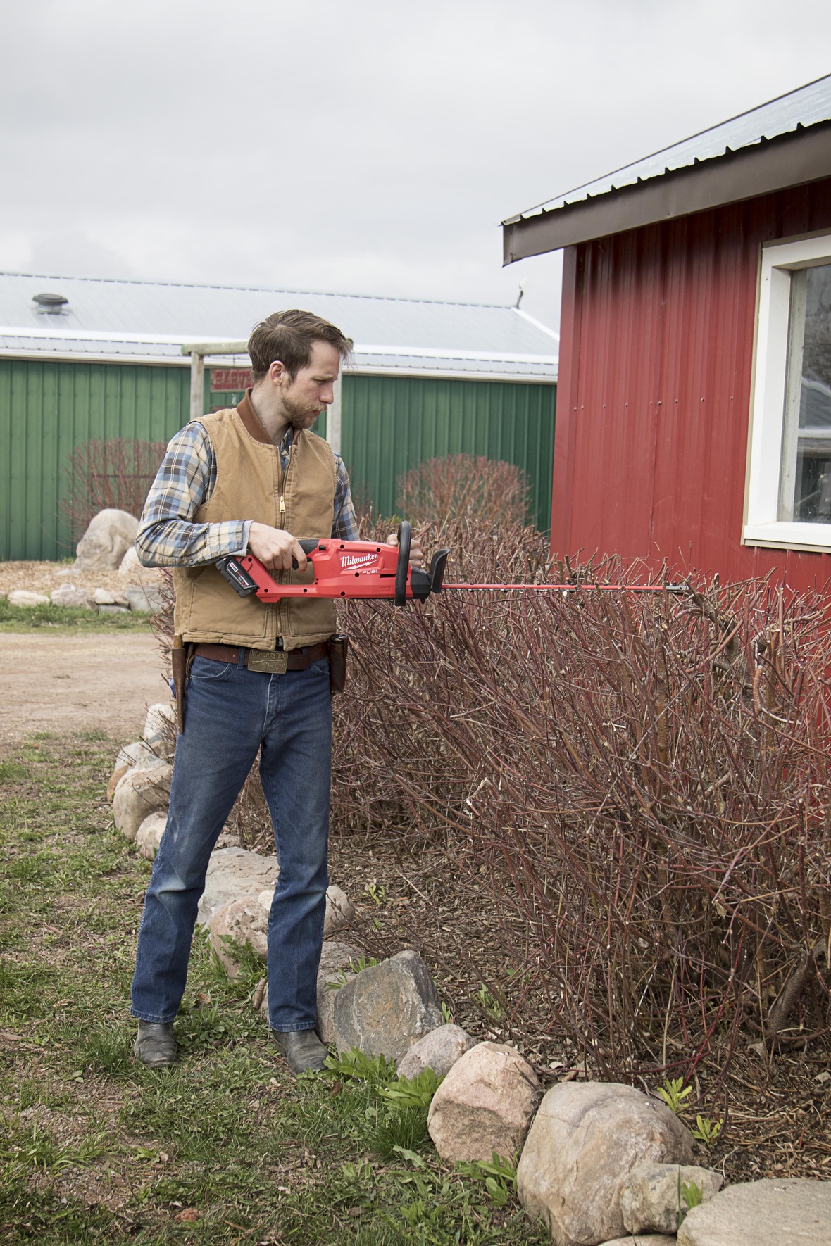 hedge trimmer