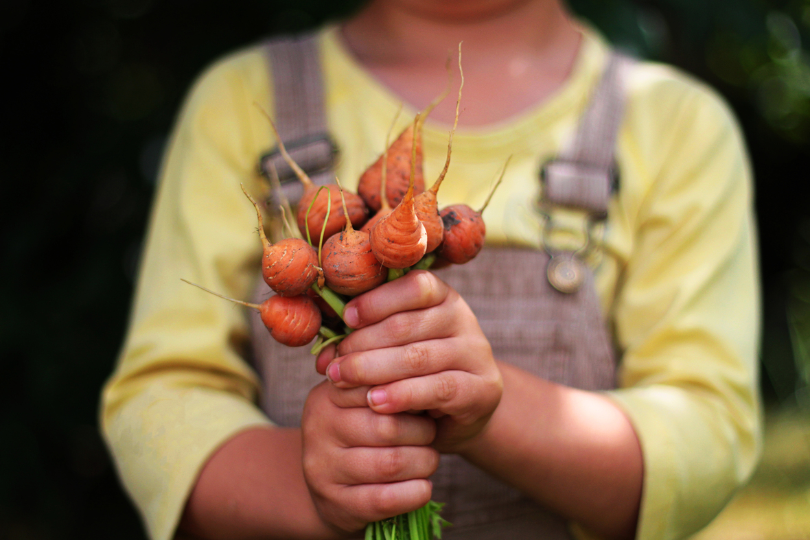 mathijs and carrots