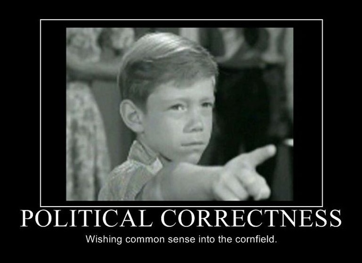 politically correct