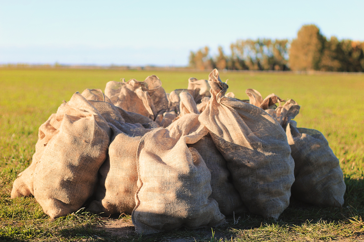 potatoes in sacks