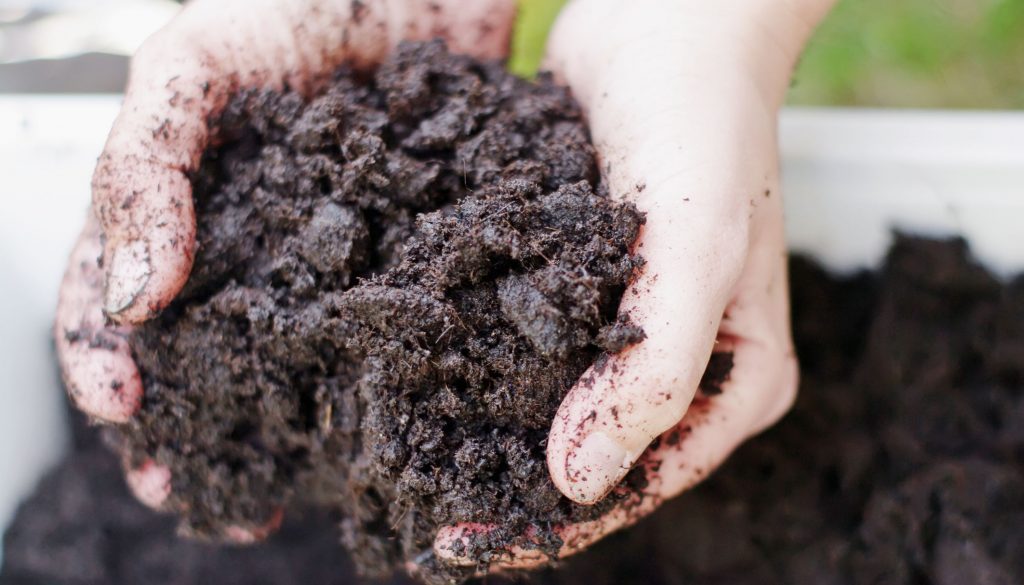 soil-1024x585